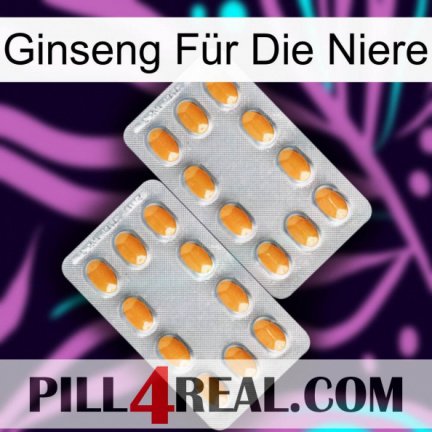 Ginseng Für Die Niere cialis4